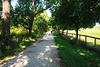 Tour a Living History Farm